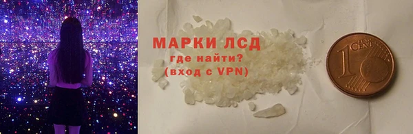 индика Алзамай