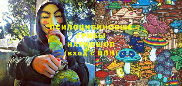 индика Алзамай