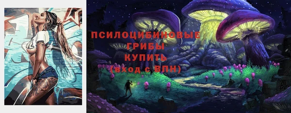 2c-b Алексин