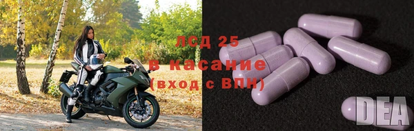 гидра Михайловск