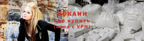 индика Алзамай